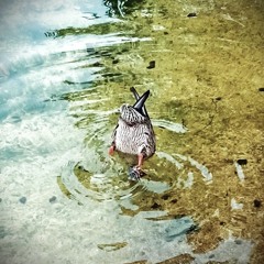 PROTOREJW - MASTER - 20 - 12 - 2023