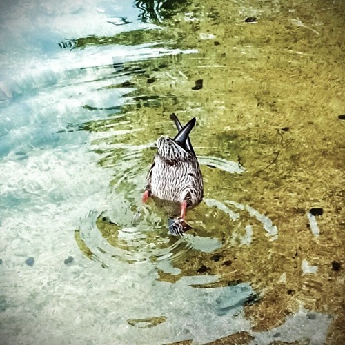 PROTOREJW - MASTER - 20 - 12 - 2023