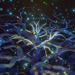 Slow Disco Inferno Low Grow in Stereo