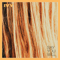 Say You Will