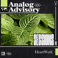 Analog Advisory Sessions 042: HeartWerk