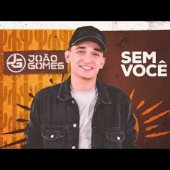 SEM VOCÊ - JOÃO GOMES x VERSÃO FUNK [ DJ PK ]