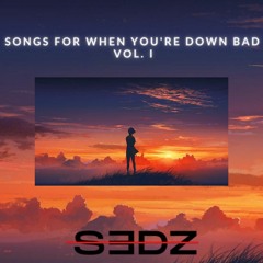 songs for when you're down bad [simp mix]