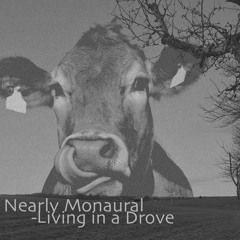 Nearly Monaural - Living in a Drove
