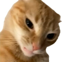‎