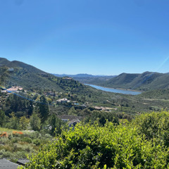 Buried in the breeze