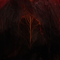 THE TING GOES LIKE THIS [FREE DL]