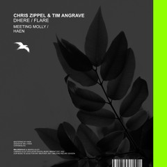 MASL016 | CHRIS ZIPPEL & TIM ANGRAVE - Dhere / Flare