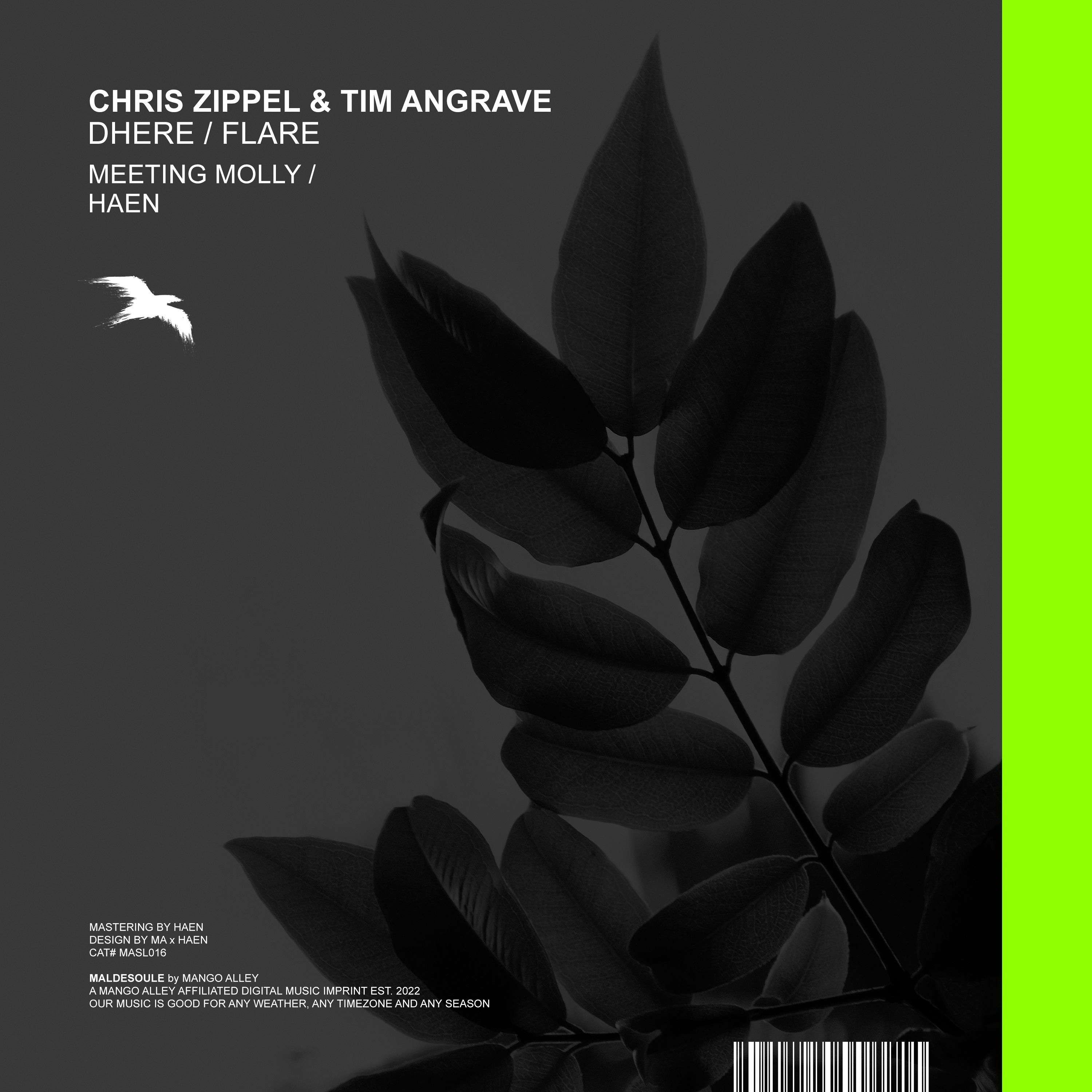 Tim Angrave