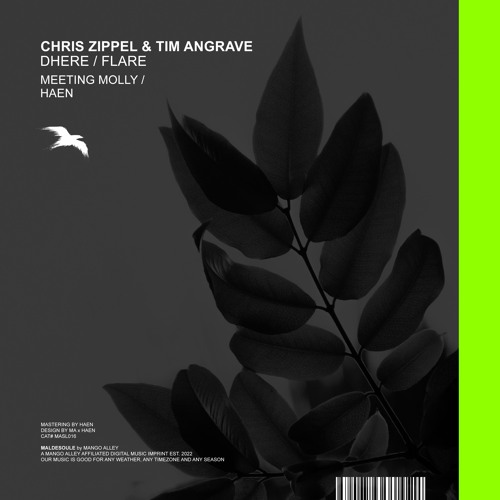 CHRIS ZIPPEL & TIM ANGRAVE - Dhere (Meeting Molly Remix)