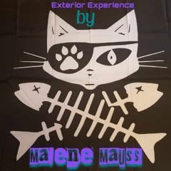 Exterior Experience // Cat Pirates Crew (psy-techno/psy-trance)