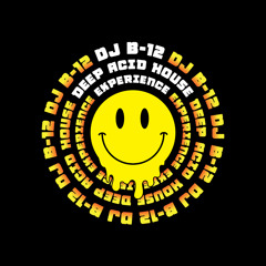 DJ B-12 Deep Acid House Experience #24