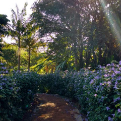 05.10.2025 - Cap. XXIV - Não Coloqueis a Candeia Sob o Alqueire (14)