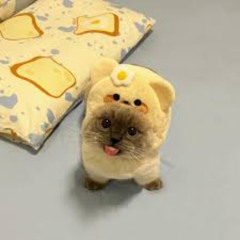 She Cheats (Instrumental Demo)