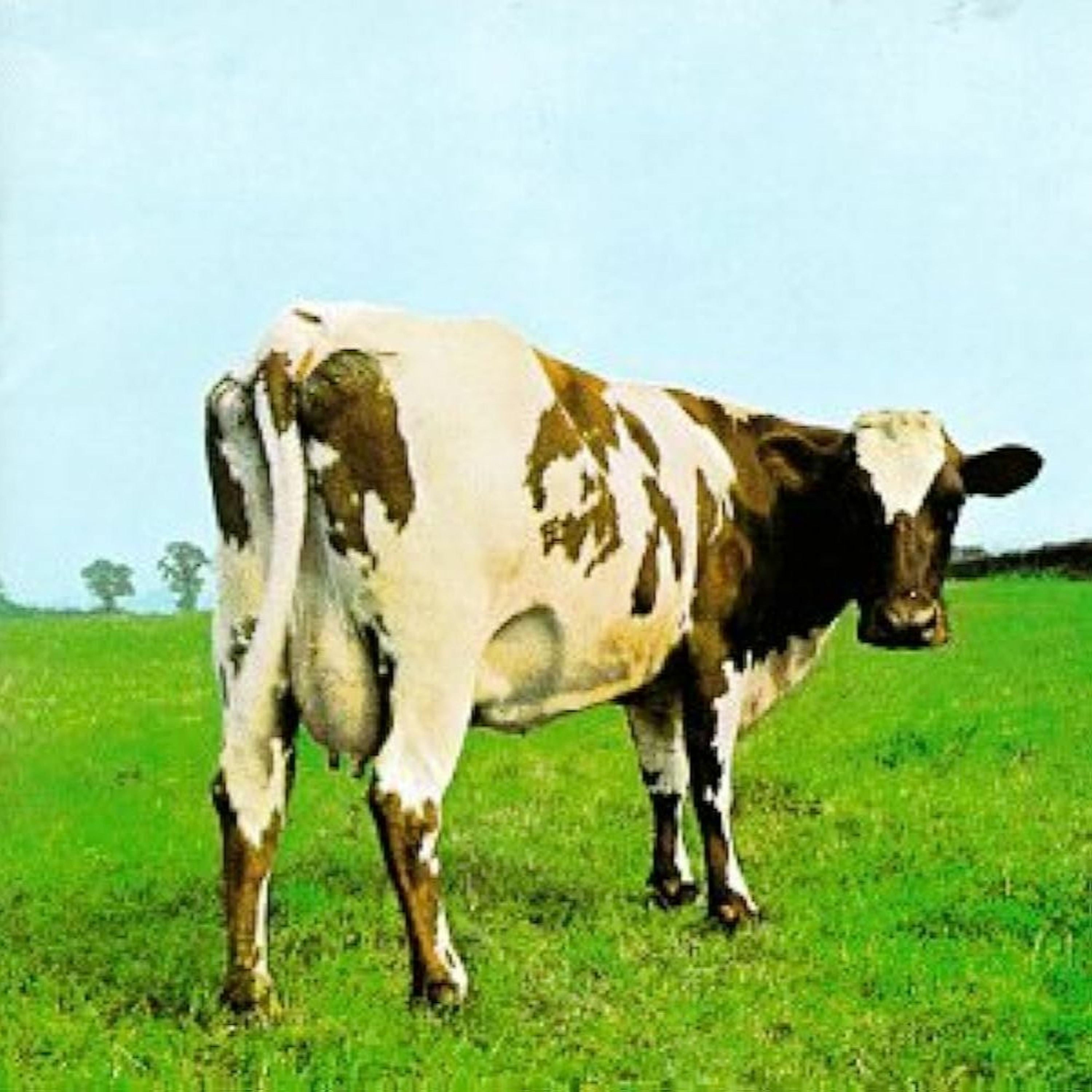 PREVIEW - #441 - The Flaming Cow (w/ Ron Geesin)