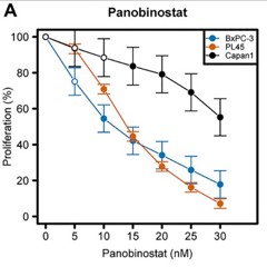 Synergistic Cytotoxicity of HDAC and PARP Inhibitors and Decitabine in Pancreatic Cancer Cells