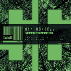 Power of Love - Jay House, Max Murrillo (Original Mix)