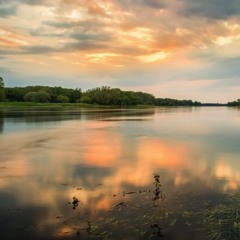 83. A Guided Meditation for Mothers i.e. Those Who Care for Children