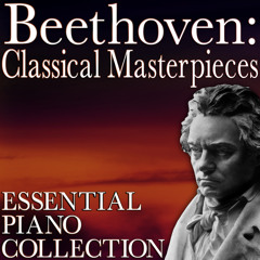 Piano Sonata No. 6 in F, Op. 10, II. Allegretto