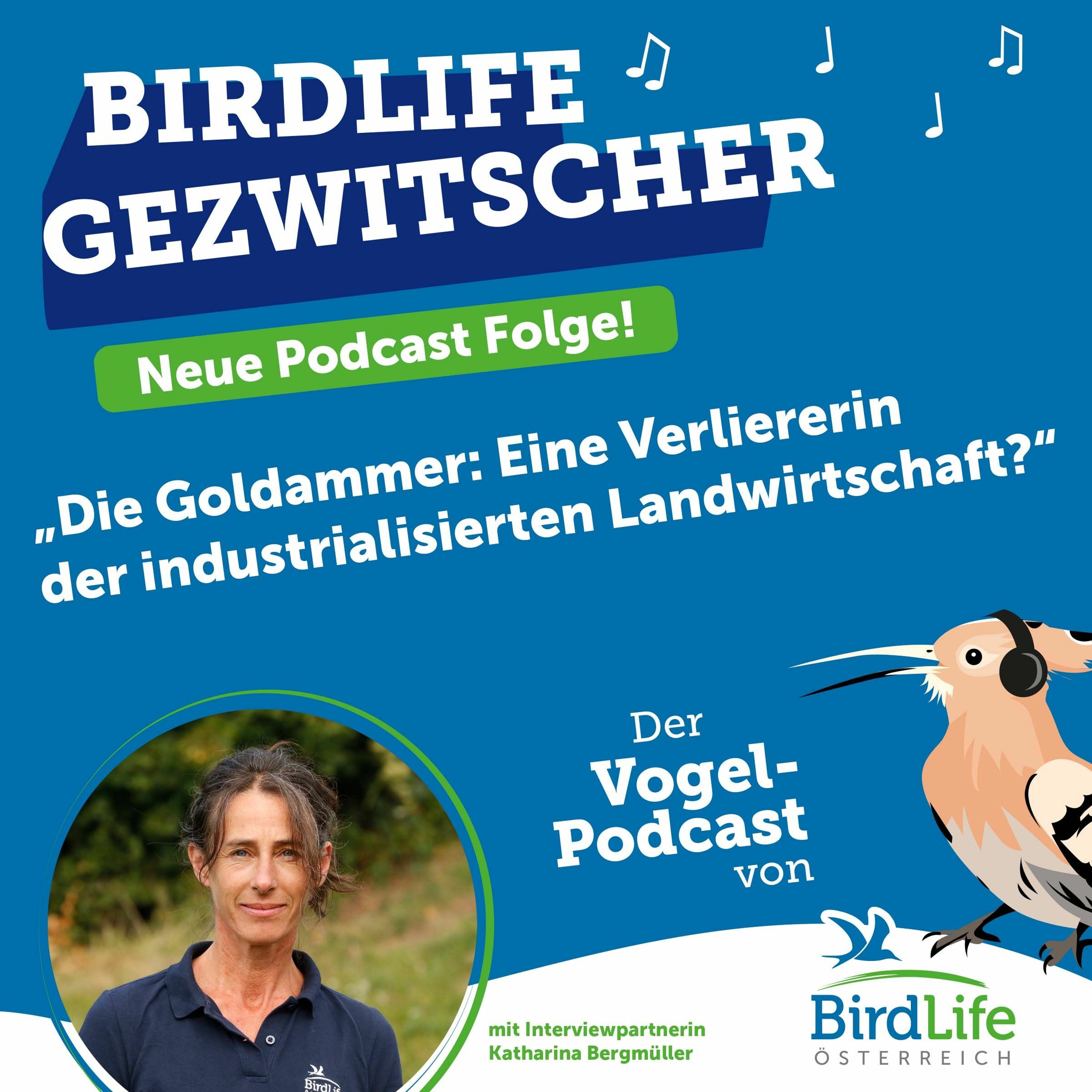 BirdLife Gezwitscher