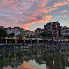 Vienna summer nights