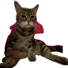 Infopublicité Groupes Continus MUS-1010