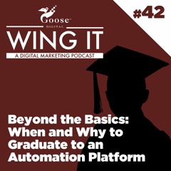 Beyond the Basics: When and Why to Graduate to an Automation Platform - Wing It Podcast Episode 42