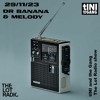 #14 - Melody And Dr Banana - tINI and The Gang x The Lot Radio DJ mix artwork - Electronic music tracklist cover image
