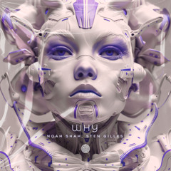 PREMIERE | Noah Shah & Sten Gilles - Why [Polyform]