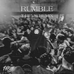 Skrillex, Fred Again.. & Flowdan - Rumble (T-REVS REMIX)