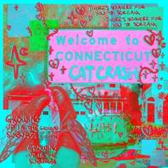 Connecticut - Voice Memo Demo