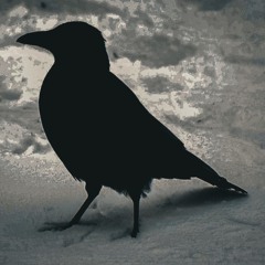 Black Crow & White Snow (Prod. Kevlar West)