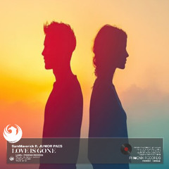 Love Is Gone