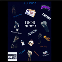 Dior freestyle