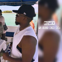 Tu veux quoi bebé - krys remix DJ TEPHEN (2025)