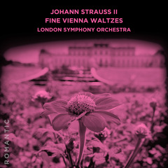 Unter Donner und Blitz, Op.324 "Thunder and Lightning"