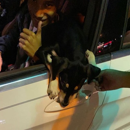 Twinuzis! - Copy Me 2! (snippet)