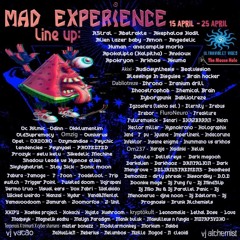 - - : Mad Experience : --