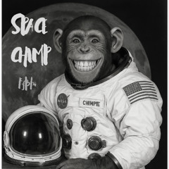 Space Chimp