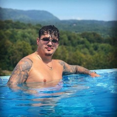 Bogdan DLP - Sistem Nou 2024  Live