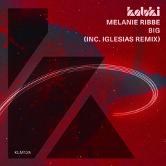 Big (Iglesias Extended Mix)