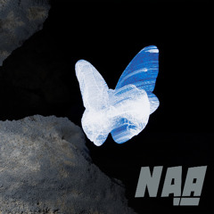Heavy Butterfly