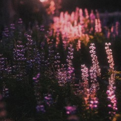 Flora Mura - Taiga