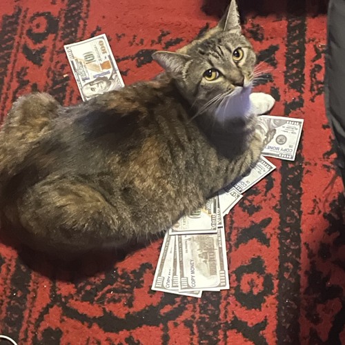 jojo!*keon*1am*jssr*kura*okmar*spoof*riz*lunchbox*sxnta*son*percyhirty&i❤️u