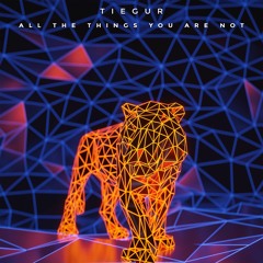 ALL THE THINGS YOU ARE NOT