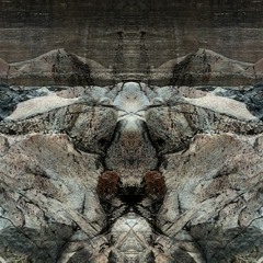 Morphed - PSYBIENT PSYCHEDELIC PROGRESSIVE AMBIENT TRANCE MINIMAL DUB