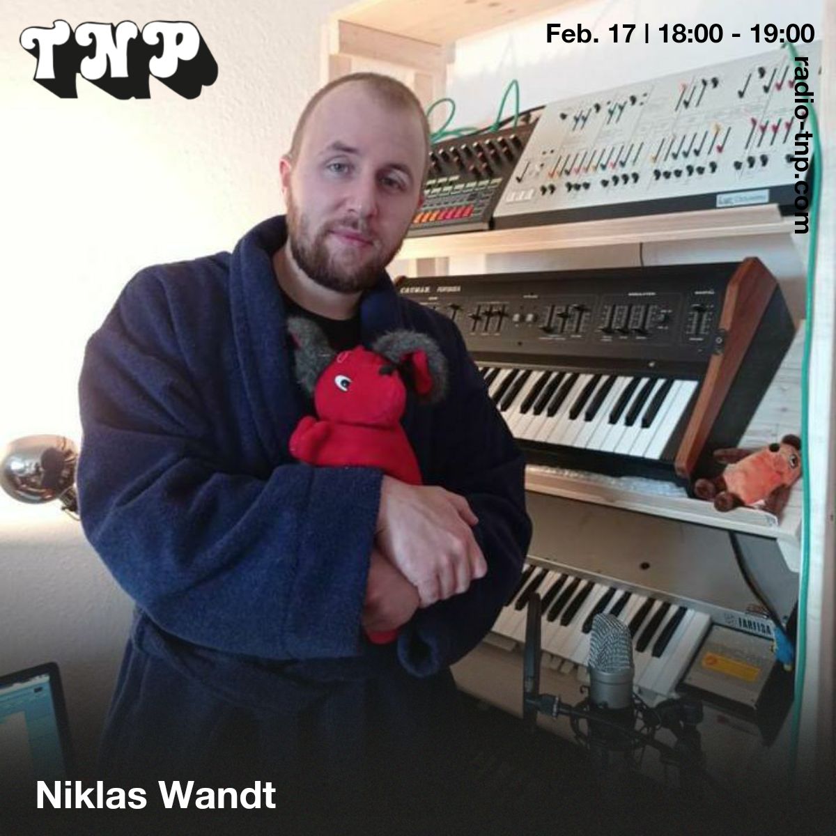 Niklas Wandt