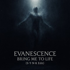 Evanescence - Bring me to Life (S*Y*N*K Edit).wav
