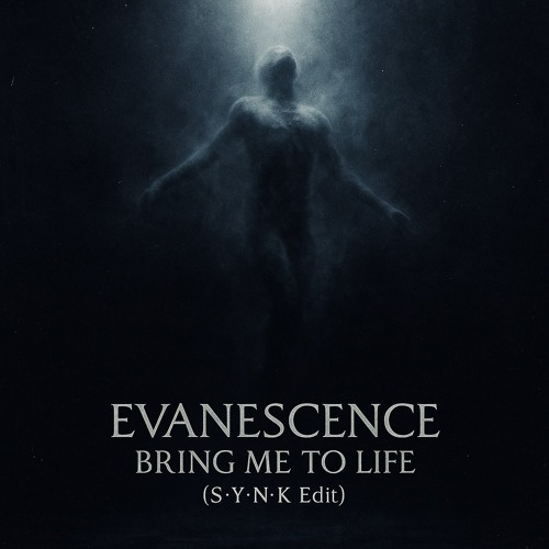 Evanescence - Bring me to Life (S*Y*N*K Edit).wav