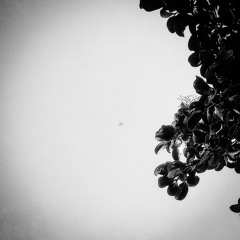 Complacent in the haze (A Poem for Charles)